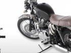 Triumph Bonneville T100 Slogan Paisley